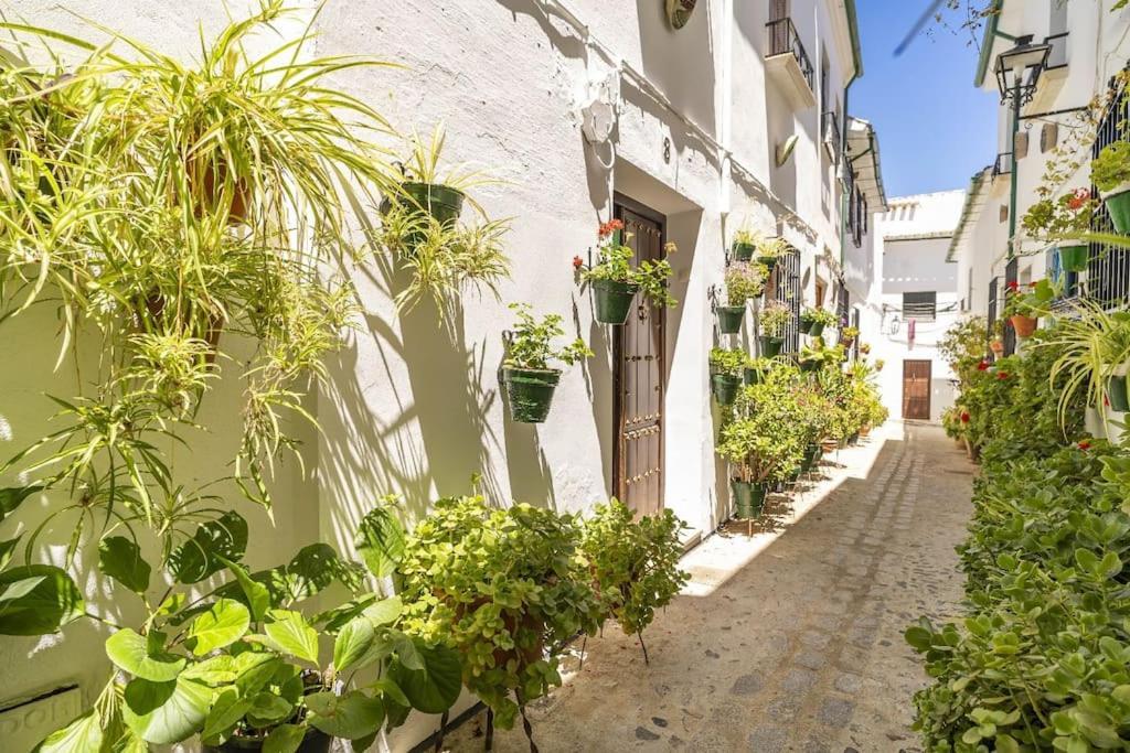 Casa Con Patio Y Terraza En Barrio Historico De La Villa, Junto Al Adarve Priego De Cordoba Ngoại thất bức ảnh