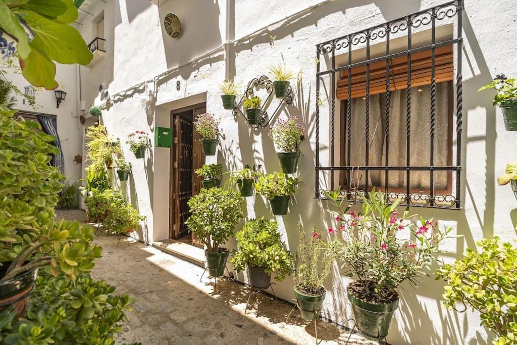 Casa Con Patio Y Terraza En Barrio Historico De La Villa, Junto Al Adarve Priego De Cordoba Ngoại thất bức ảnh